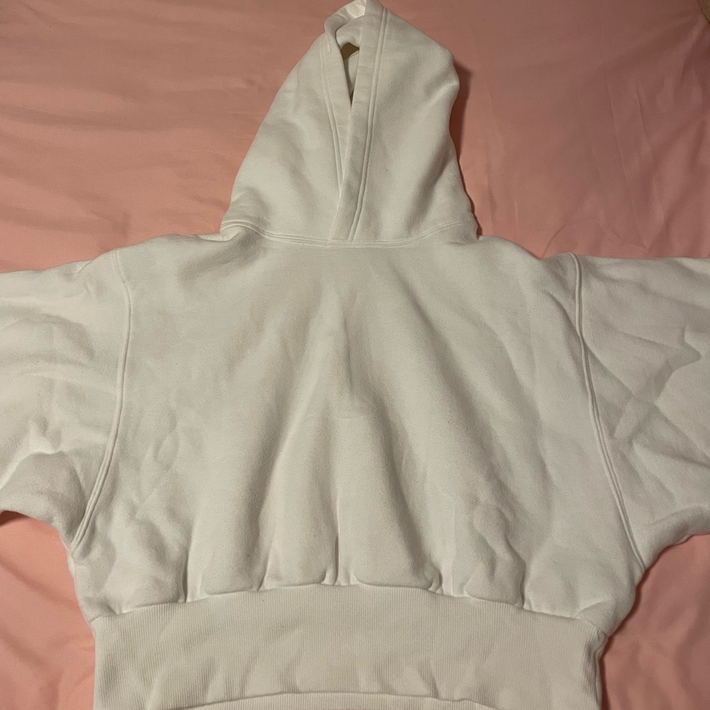 Aritzia Cropped Hoodie